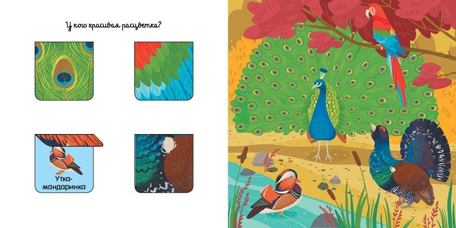 Уши, лапы и хвосты фото книги 5