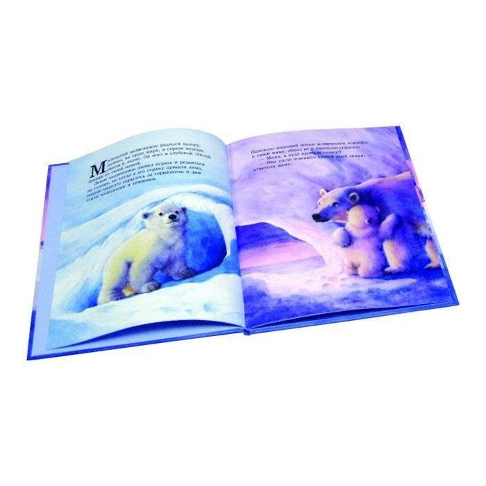 Как медвежонок солнце искал фото книги 2