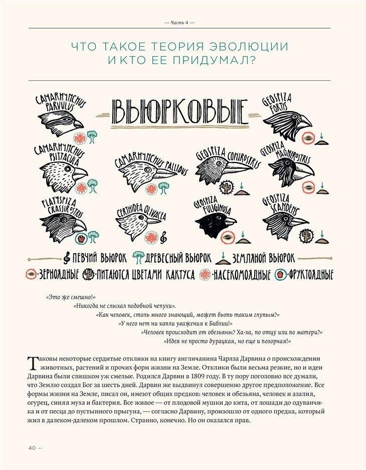 Загадка жизни и грязные носки Йоса Гротьеса из Дрила фото книги 5