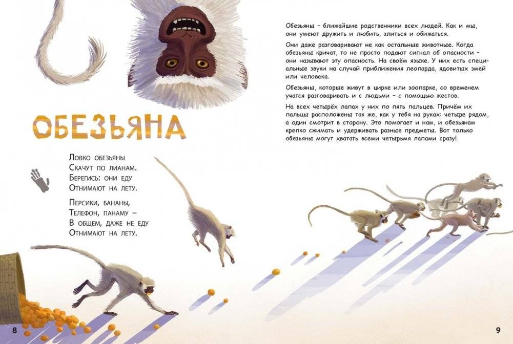 Они такие разные! фото книги 4