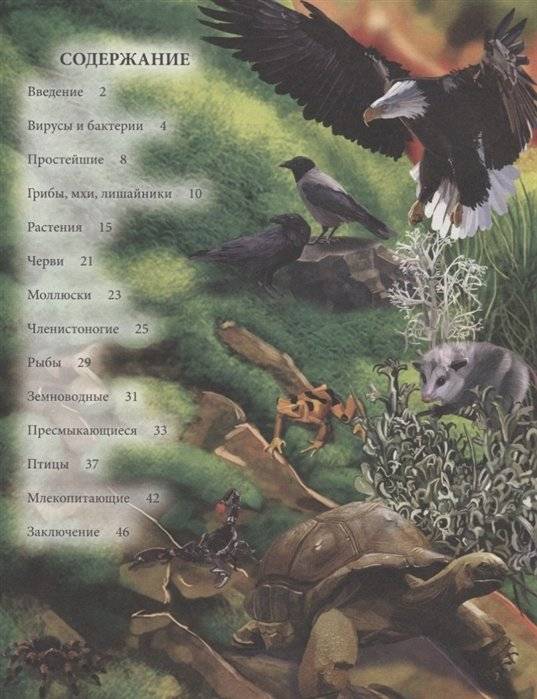Энциклопедия. Живая природа фото книги 2