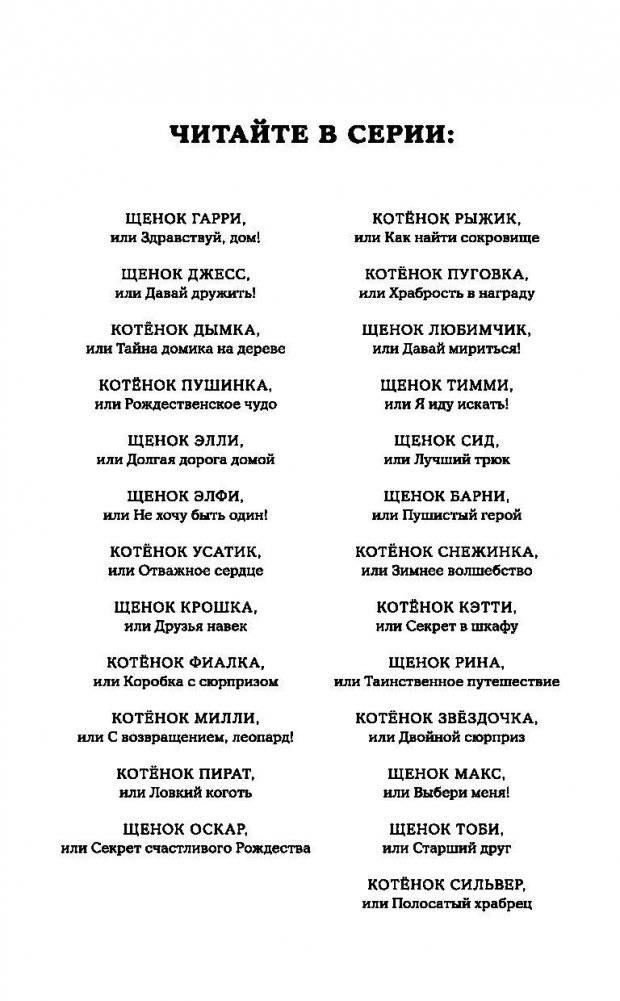 Котенок Сильвер, или Полосатый храбрец фото книги 3