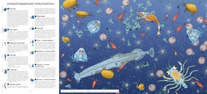 Живой мир под микроскопом фото книги 3
