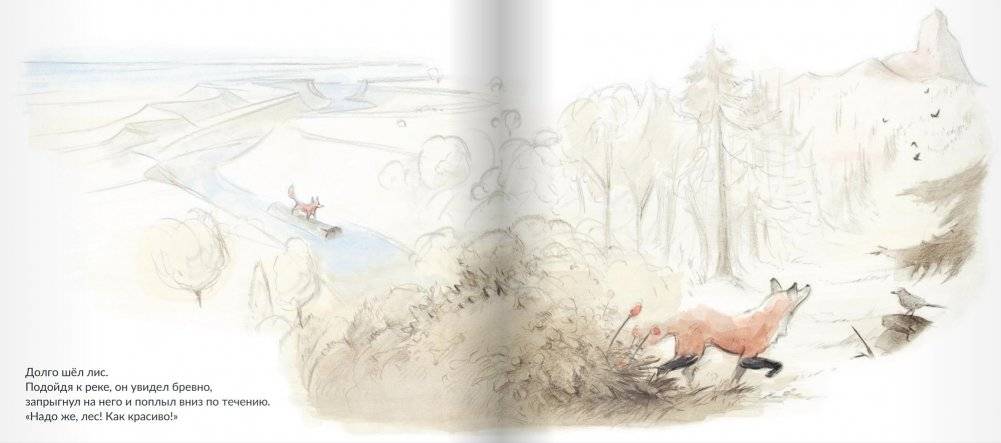 Белый лис фото книги 5