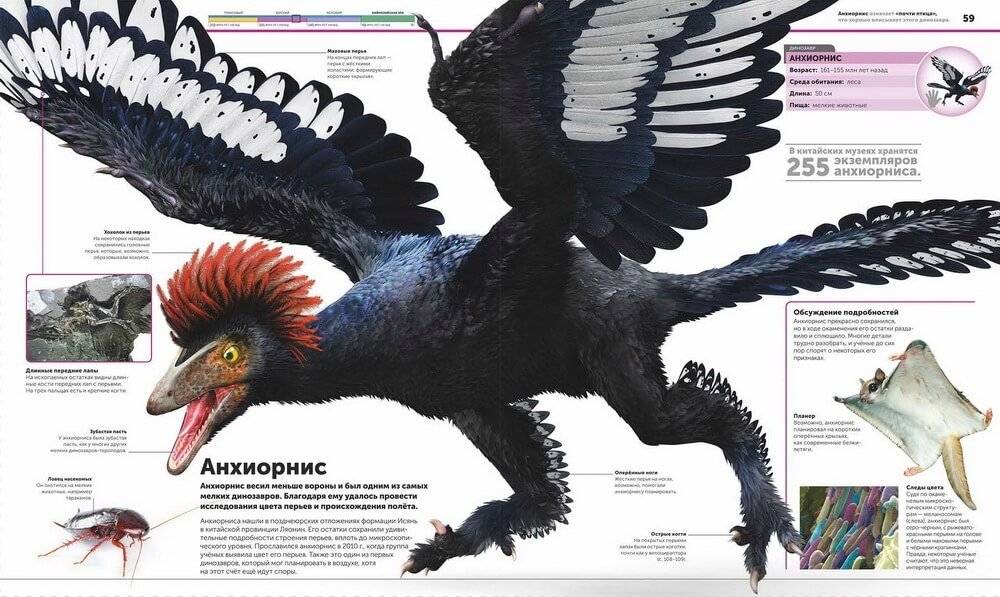 Динозавры. Самая полная современная энциклопедия фото книги 4