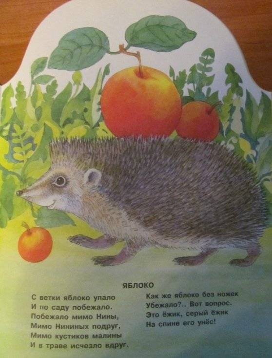 Что нам лето подарило? фото книги 4