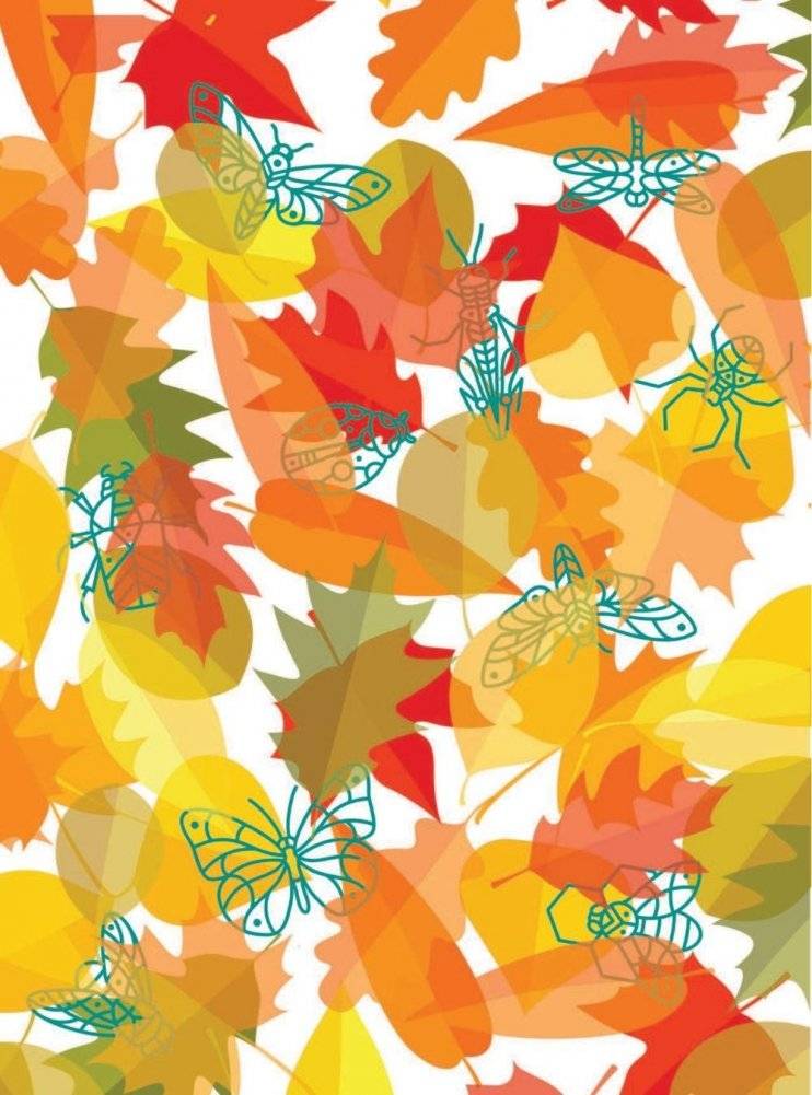 Книжка для мальчиков всех возрастов фото книги 8