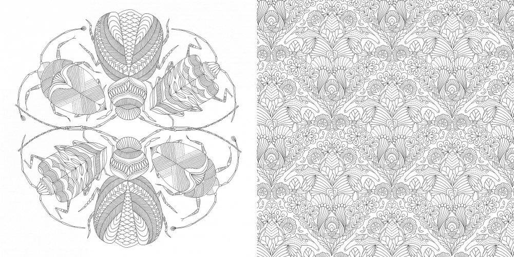 Божественные создания. Золотая коллекция любимых иллюстраций фото книги 7