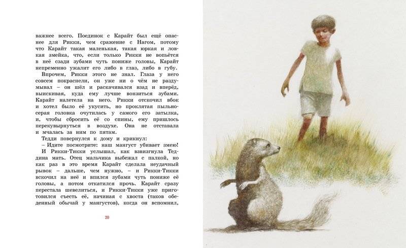 Рикки-Тикки-Тави фото книги 5