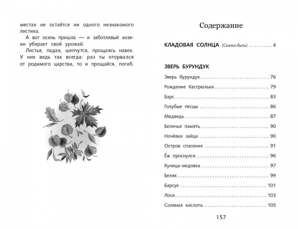 Кладовая солнца фото книги 5