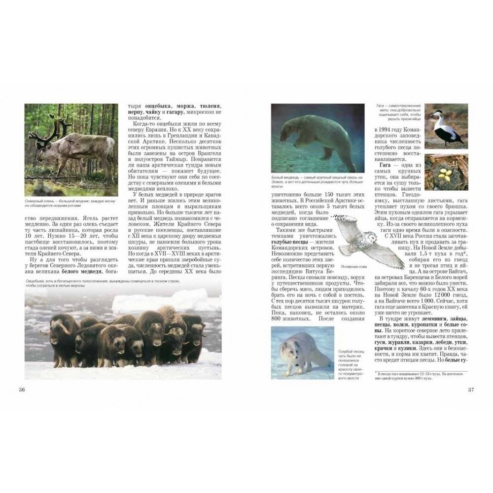 Природа России фото книги 10
