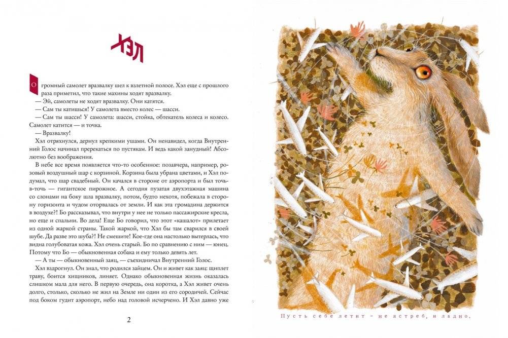 Заяц на взлетной полосе фото книги 3