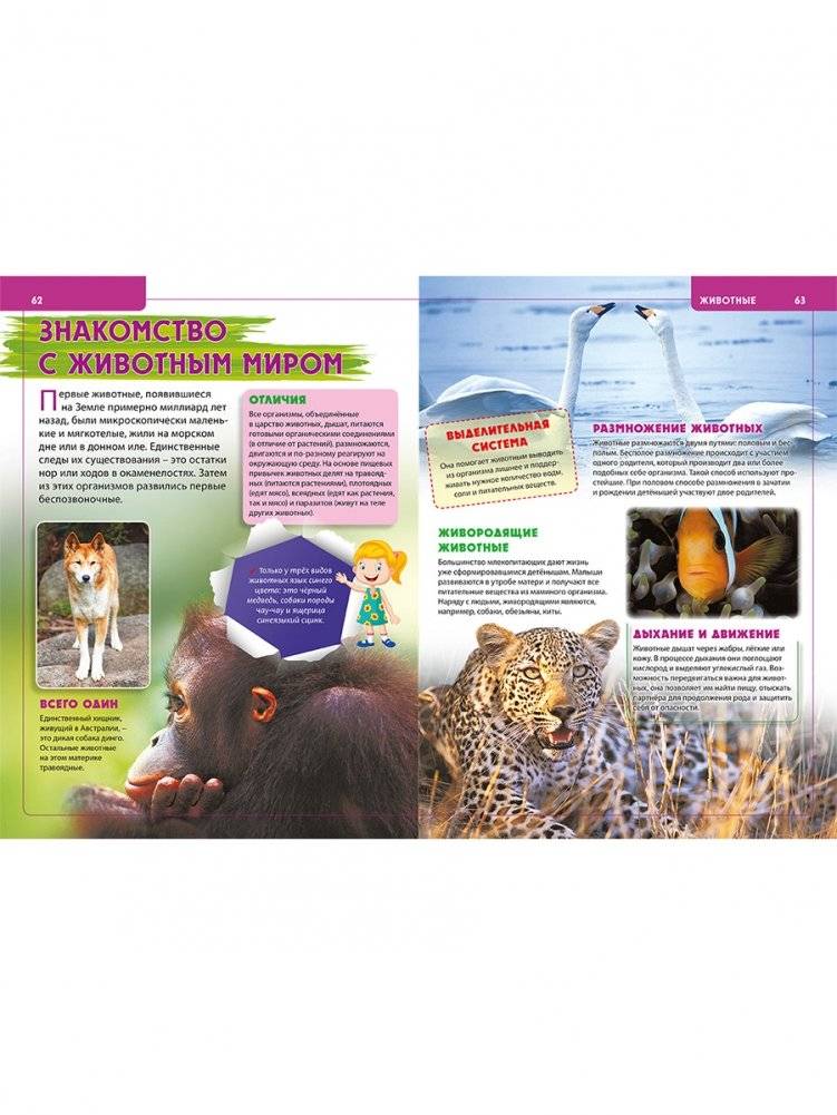 Обо всём на свете. Энциклопедия для будущих отличников фото книги 7