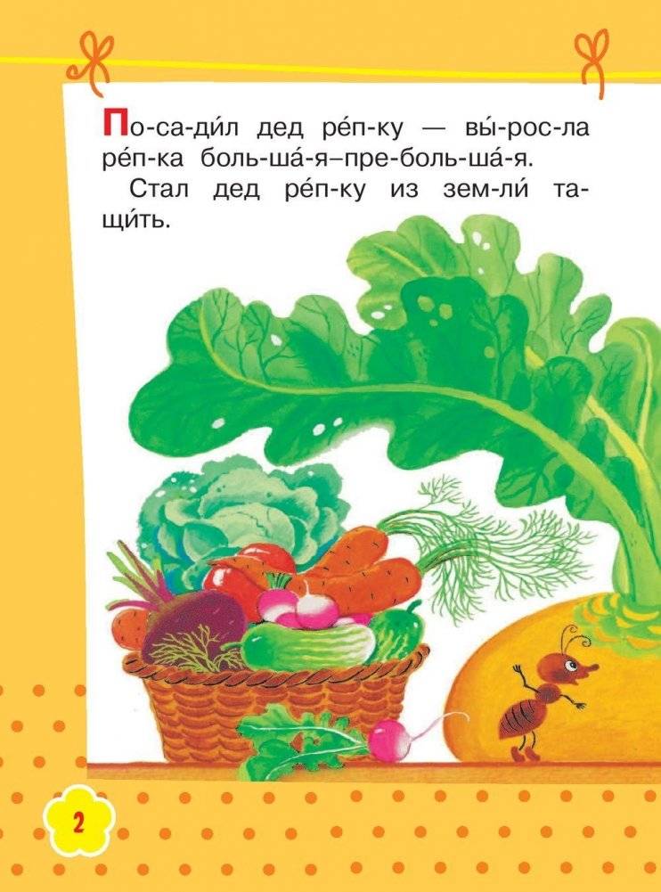 Репка фото книги 3