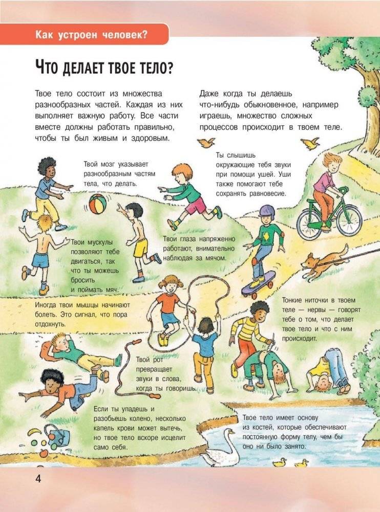 Иллюстрированная энциклопедия отчего и почему фото книги 5