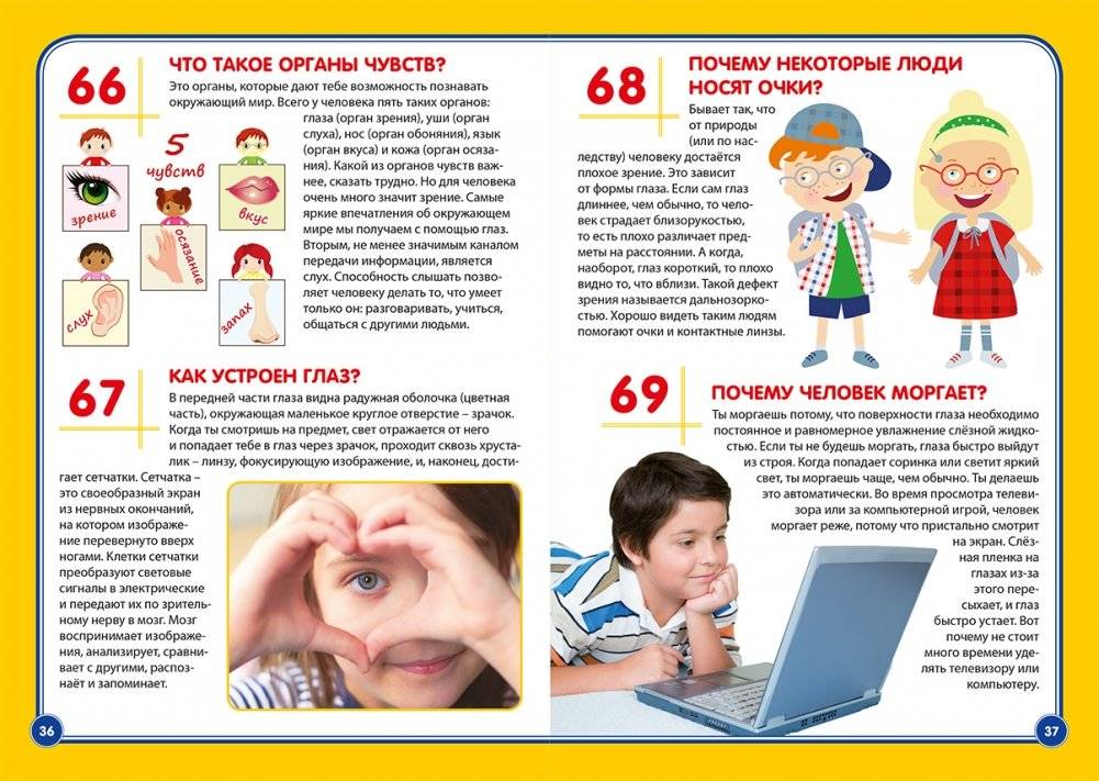 Тело человека. Почемучкам и любознательным фото книги 3