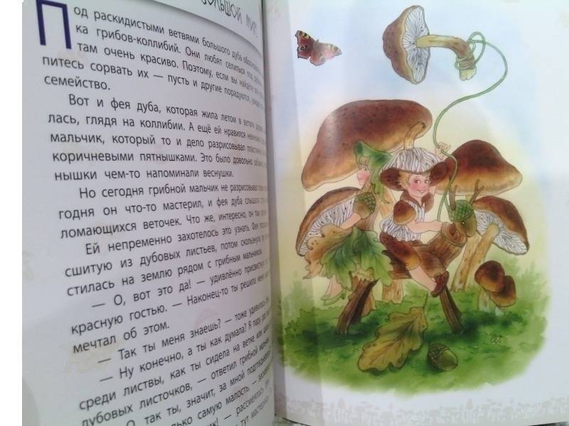 Лесные малыши фото книги 7