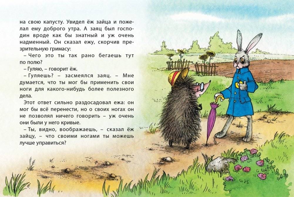 Заяц и ёж фото книги 3