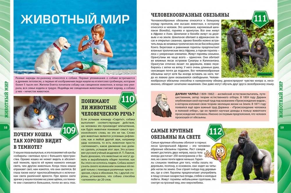 Энциклопедия для детей от 6 до 12 лет фото книги 3