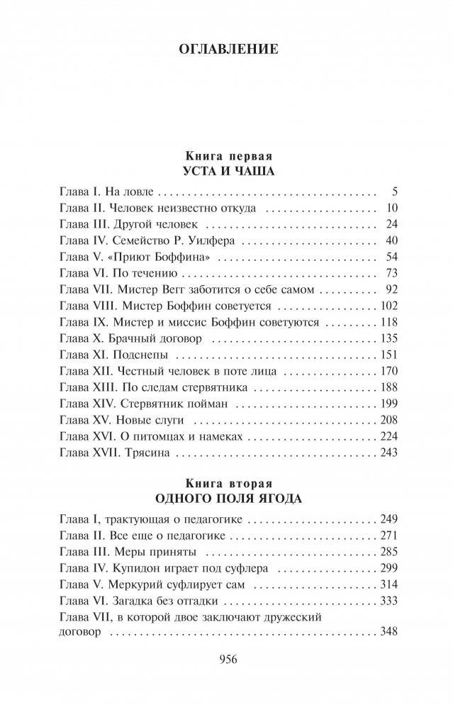 Наш общий друг фото книги 2