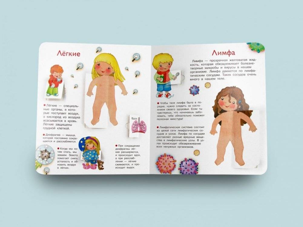 Что? Почему? Зачем? Наше тело фото книги 7