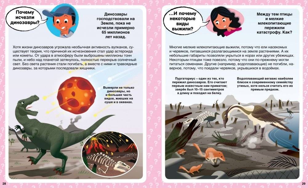 Почему? 100 вопросов и ответов в картинках фото книги 6