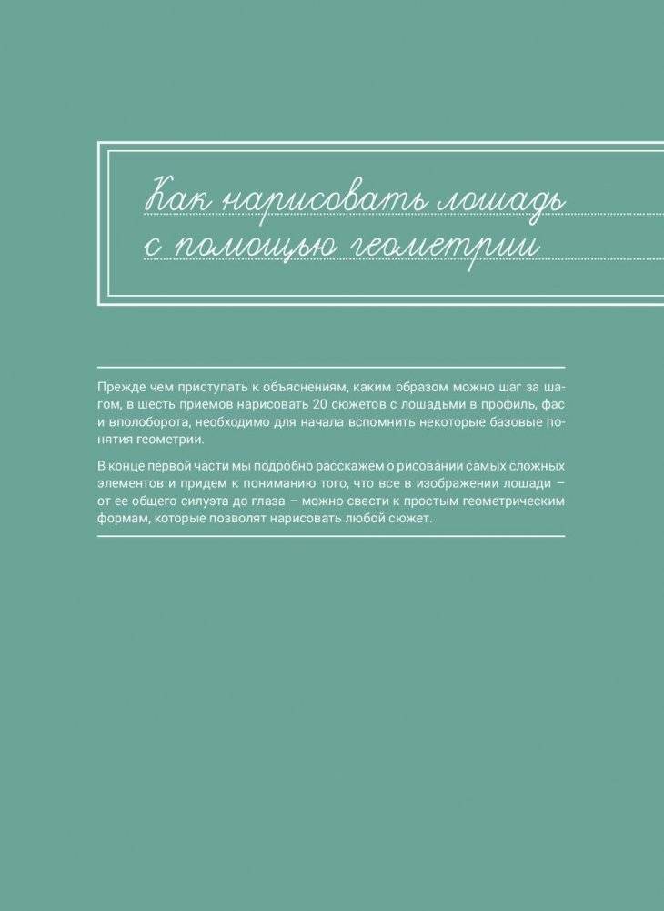 Рисуем лошадей. Руководство фото книги 5