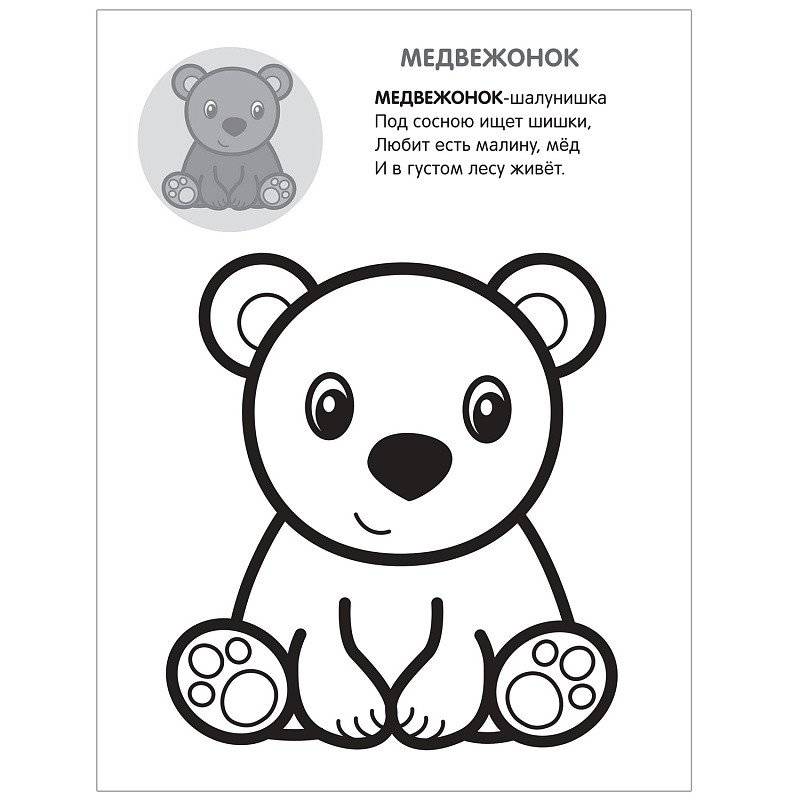 Раскраска с наклейками "В лесу" фото книги 2