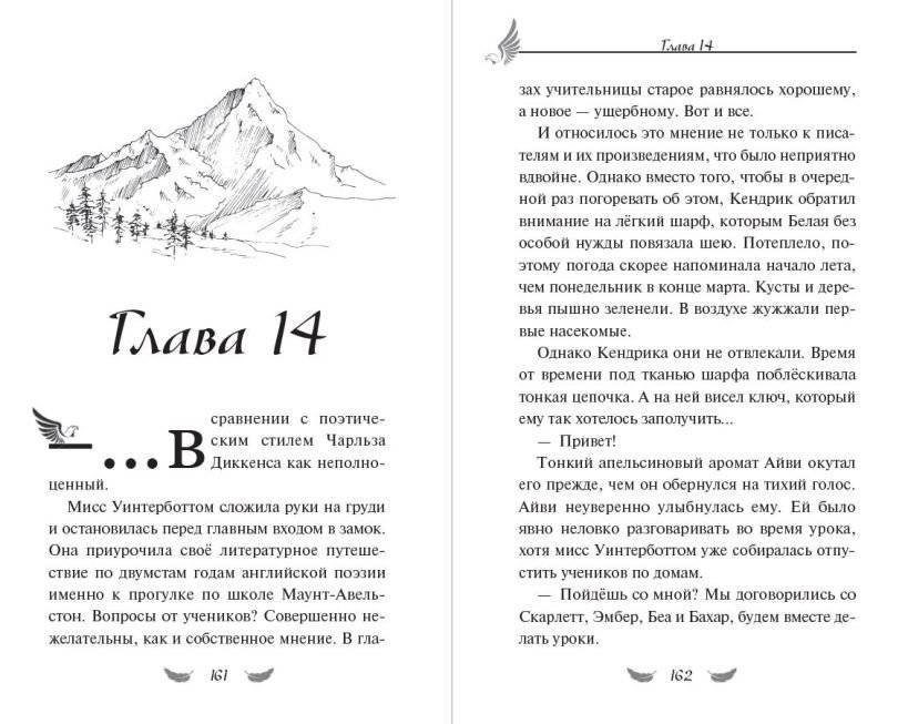 Соколиный пик. Око бури (#3) фото книги 4