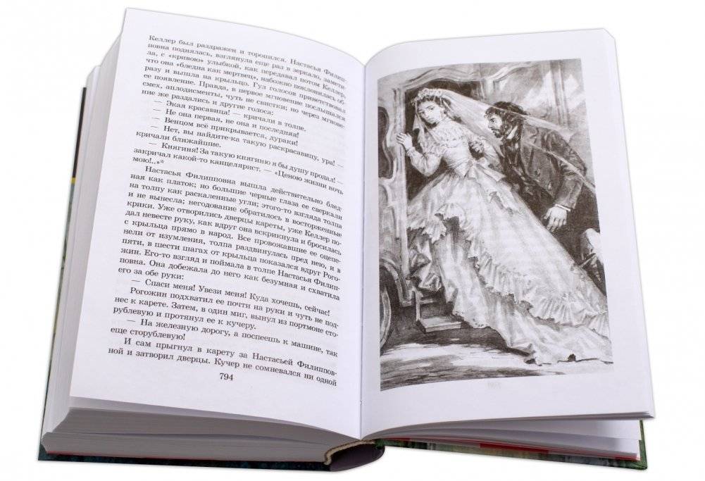 Идиот фото книги 3