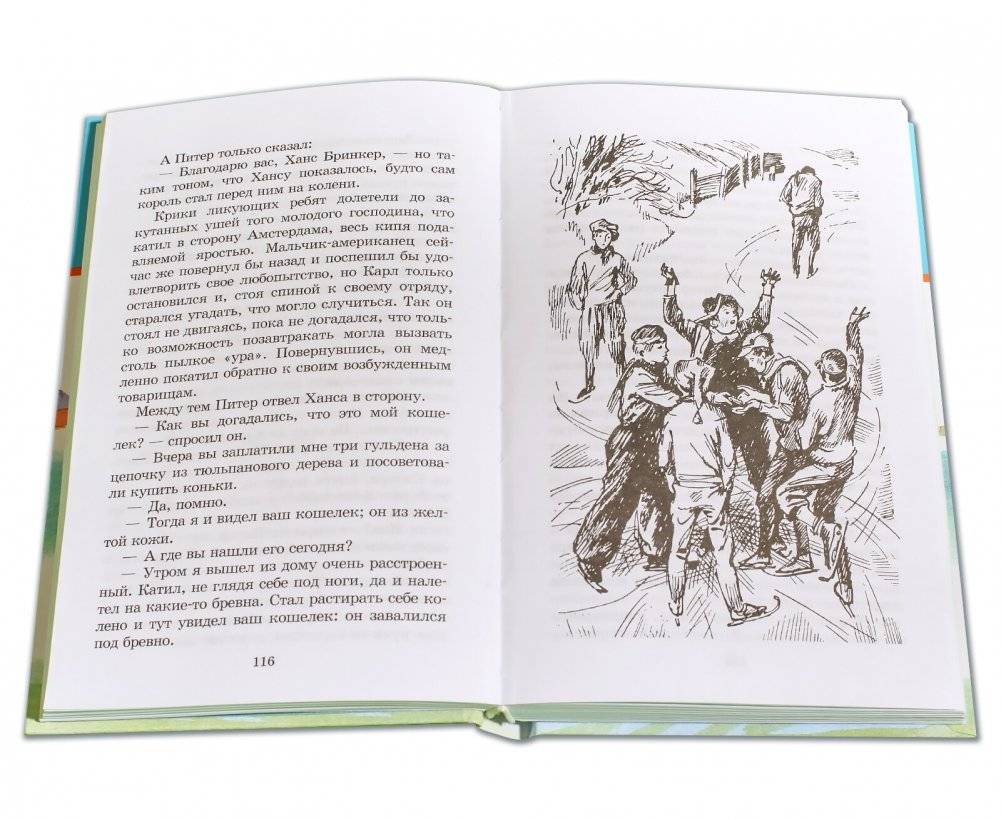 Серебряные коньки фото книги 4