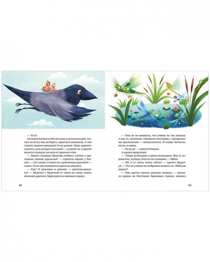 Приключения Шурочки и Мурочки (мягкая обложка) фото книги 6