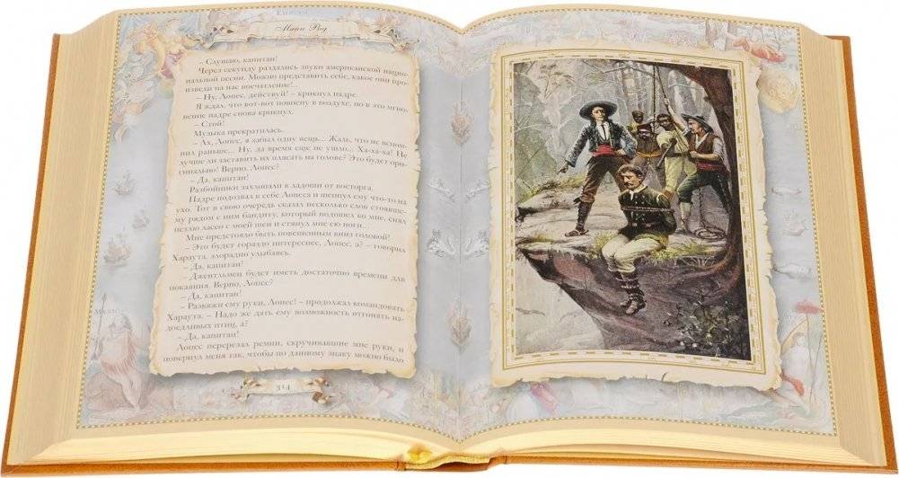 Стрелки в Мексике. Подарочное издание фото книги 4