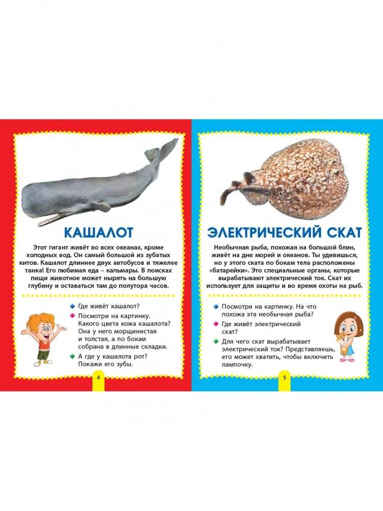 Морские обитатели. Фотокнига для самых маленьких фото книги 3