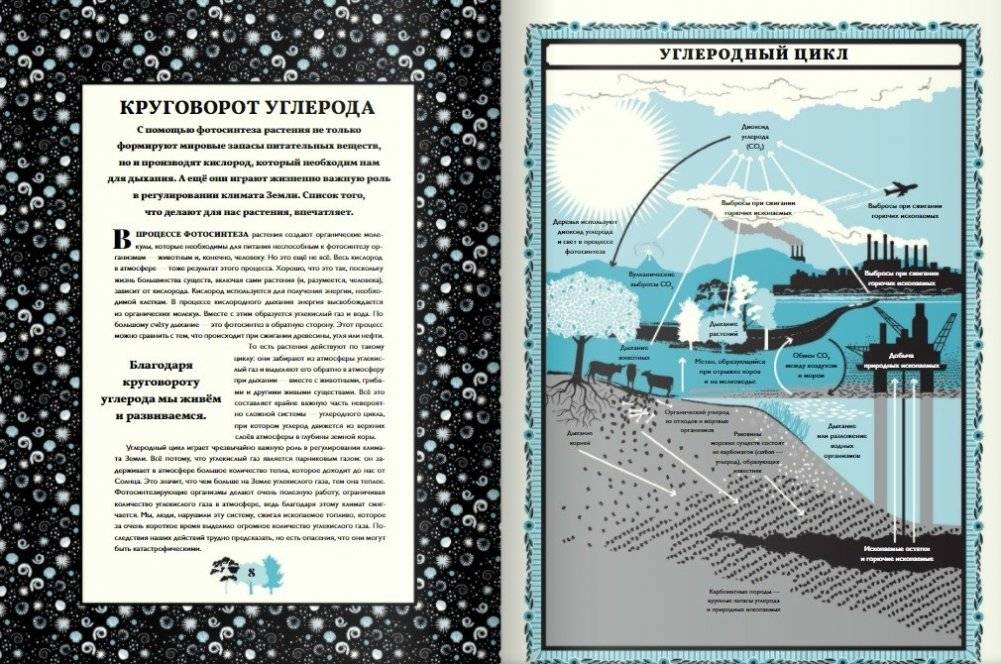 Мир растений фото книги 5