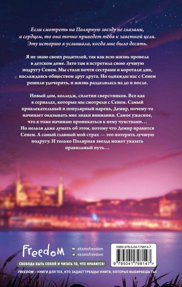 Полярная звезда (#1) фото книги 2