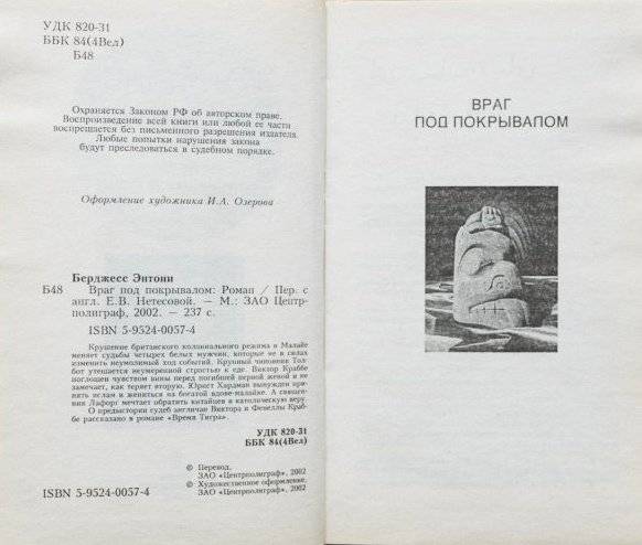 Враг под покрывалом фото книги 5