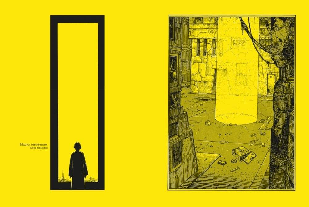 Глаза кошки фото книги 4