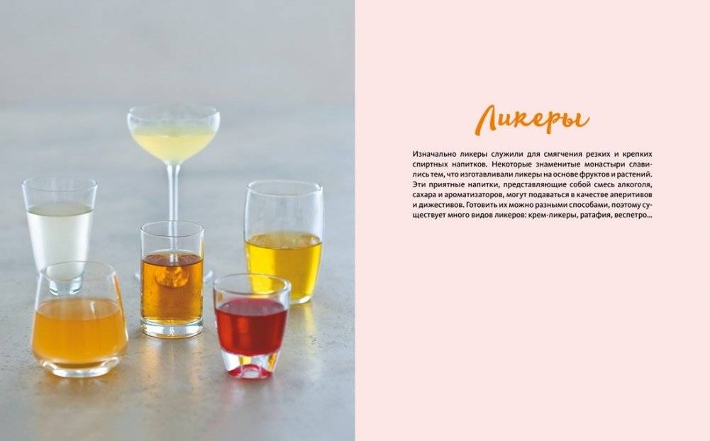 Домашние напитки. Для праздников и на каждый день фото книги 8