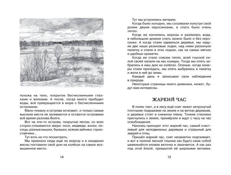 Лисичкин хлеб фото книги 3