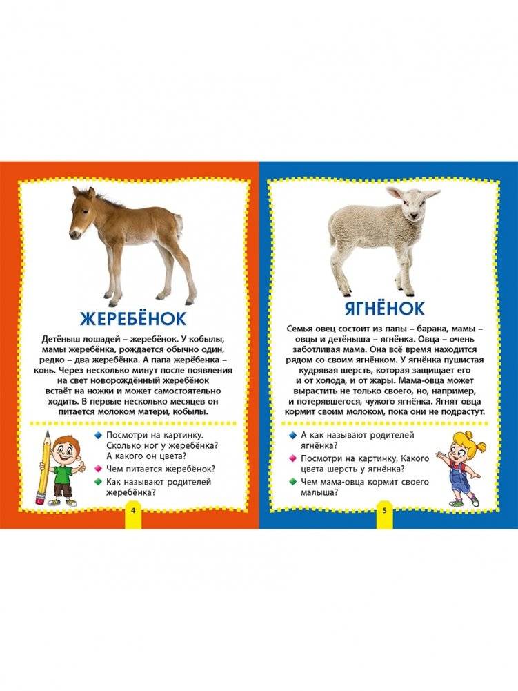 Детеныши животных. Фотокнига для самых маленьких фото книги 3