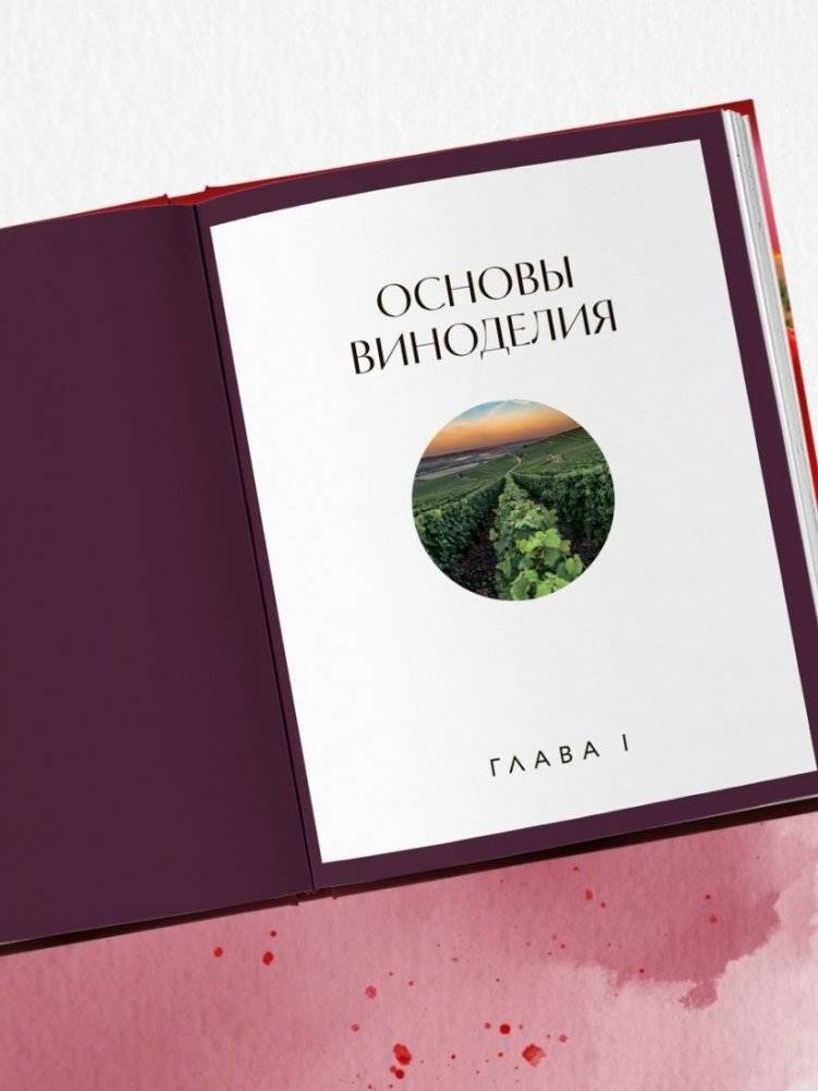 Вино к еде. Искусство идеального сочетания фото книги 4