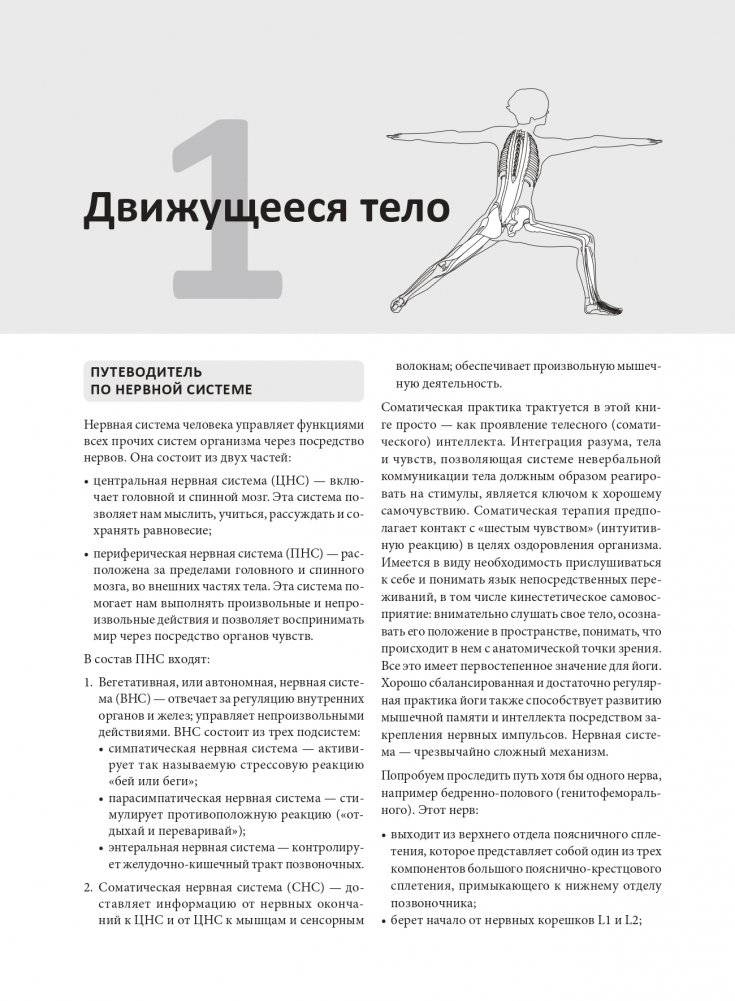 Анатомия йоги: раскраска. Изучите форму и биомеханику более чем 50 асан фото книги 7