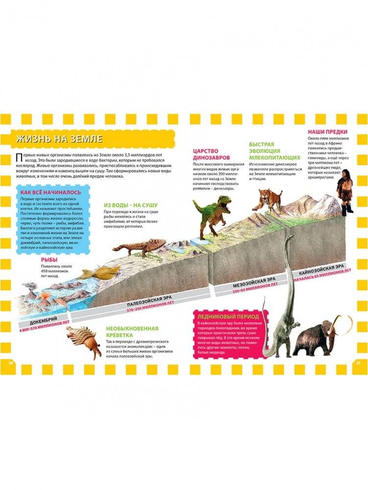 Вселенная и планета Земля. Детская энциклопедия фото книги 5