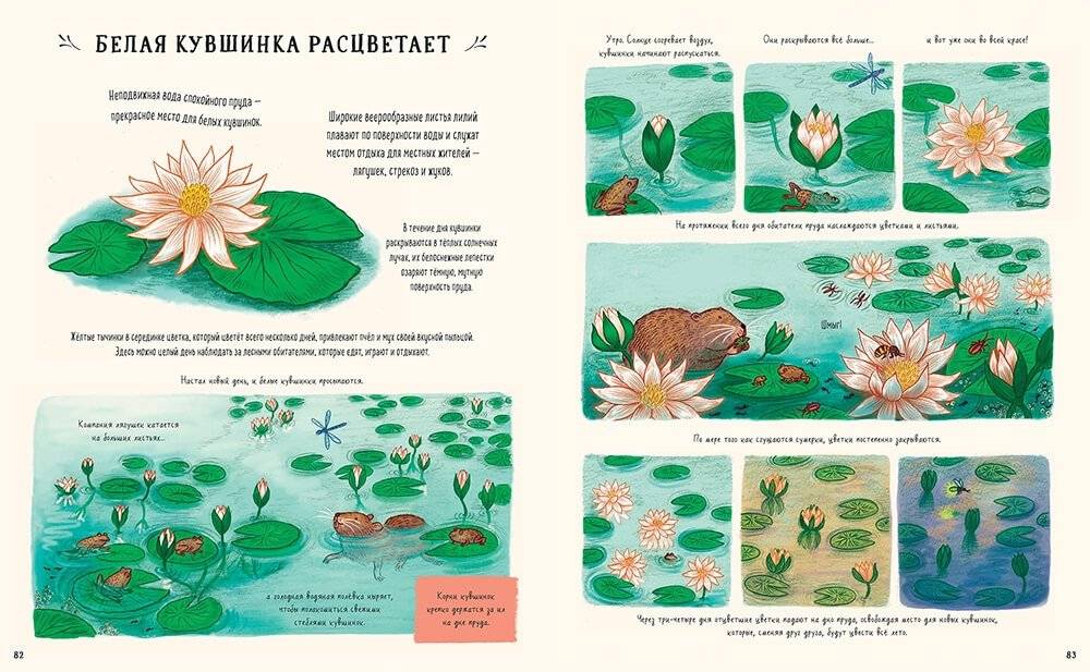 Оглянись вокруг. 50 маленьких событий в живой природе, ради которых стоит замедлиться фото книги 7