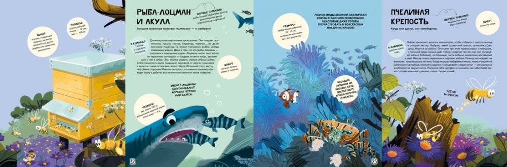 Вместе лучше! Командная работа в мире животных фото книги 5