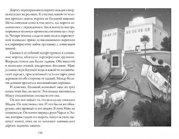 Верные. Книга 2. Тайна трёх колец фото книги 5