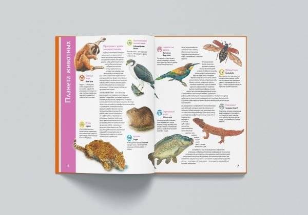 Планета животных (для говорящей ручки "Знаток") фото книги 4