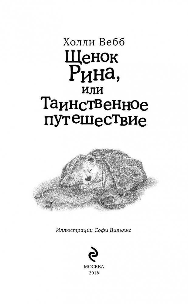 Щенок Рина, или Таинственное путешествие фото книги 5