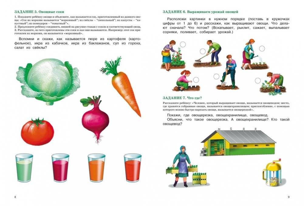 Развитие речи. Уроки с логопедом фото книги 2